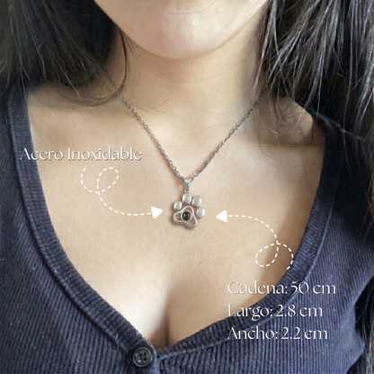 Collar Personalizado con Foto de Mascota