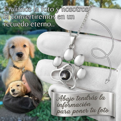 Collar Personalizado con Foto de Mascota